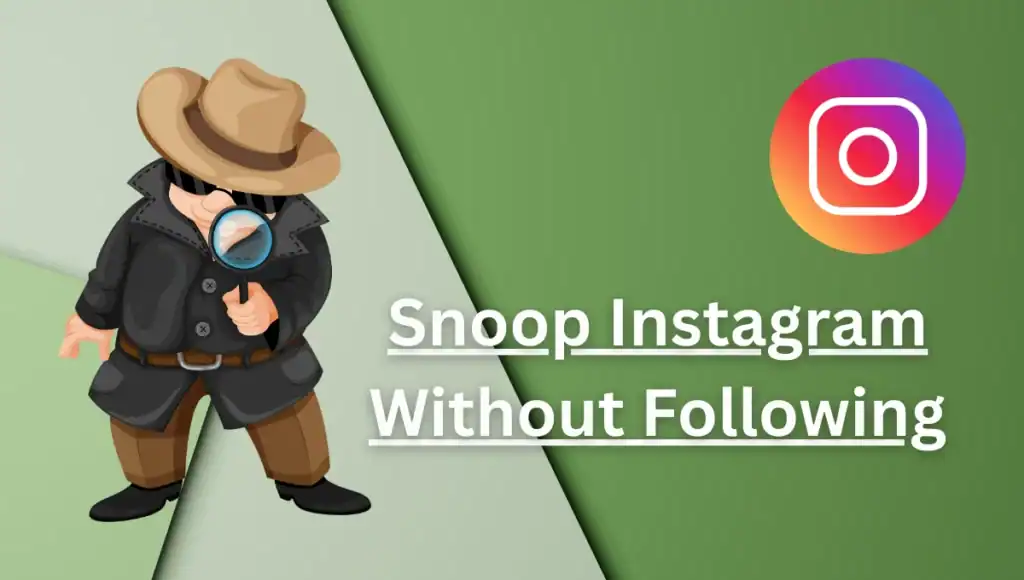 Discover Instagram account details without sending follow request with ethical tips. Learn to check bios, Reels, hashtags, and more anonymously.